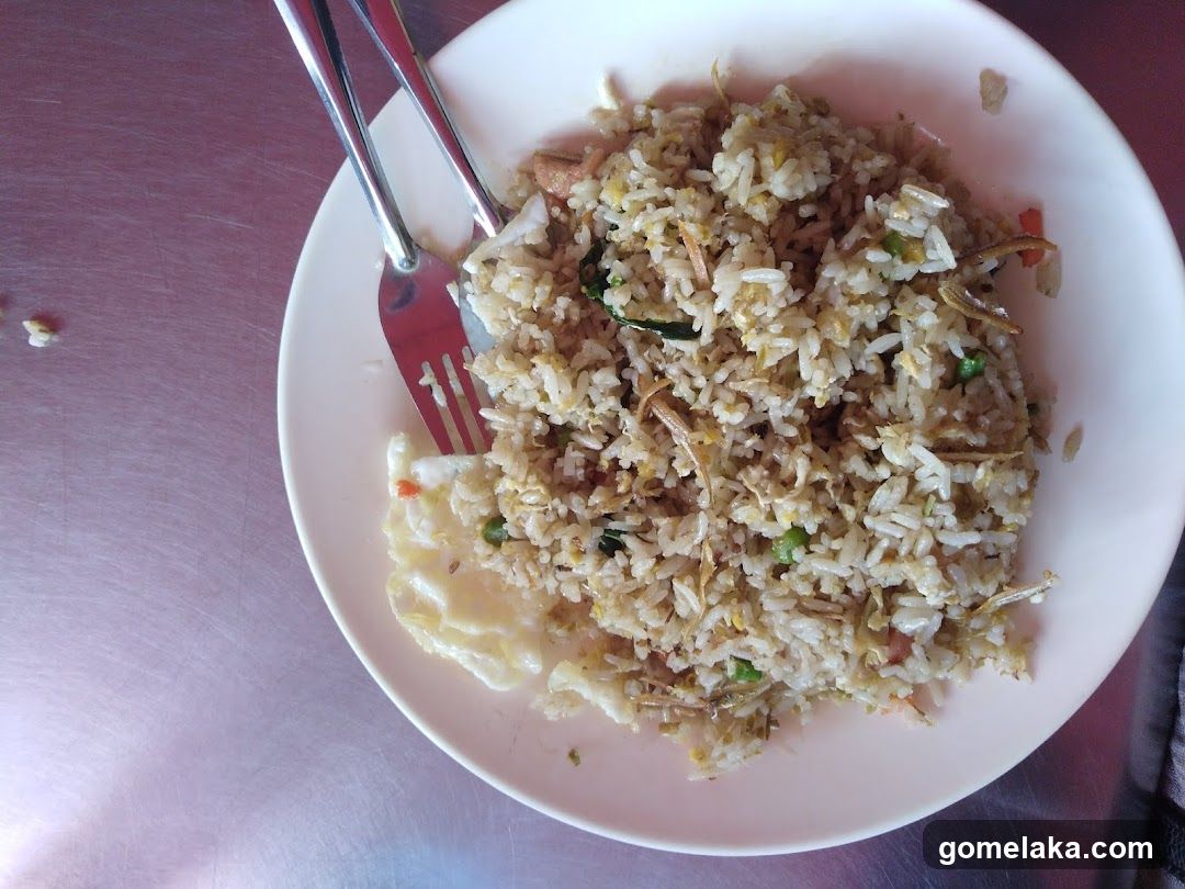 Fried Rice on Plate