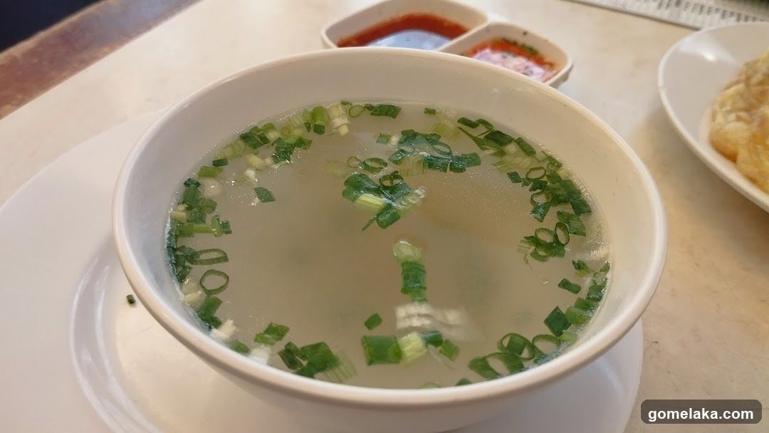 Soup Bowl with Green Onions
