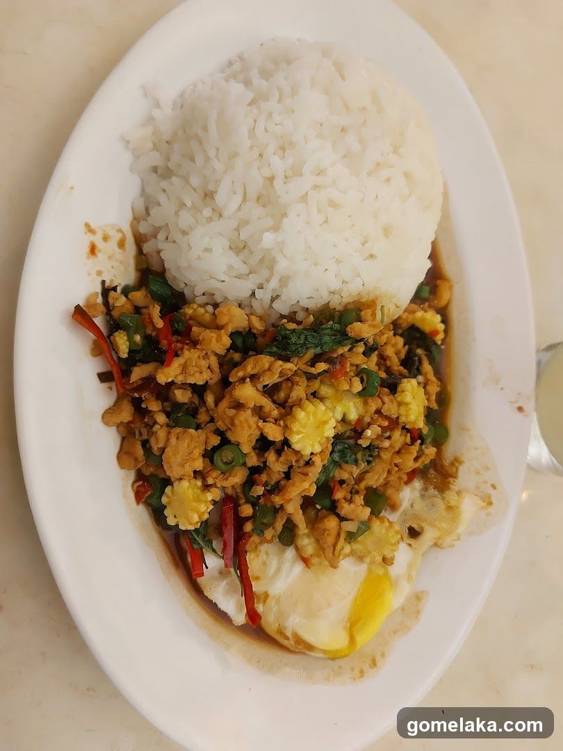 Food Dish