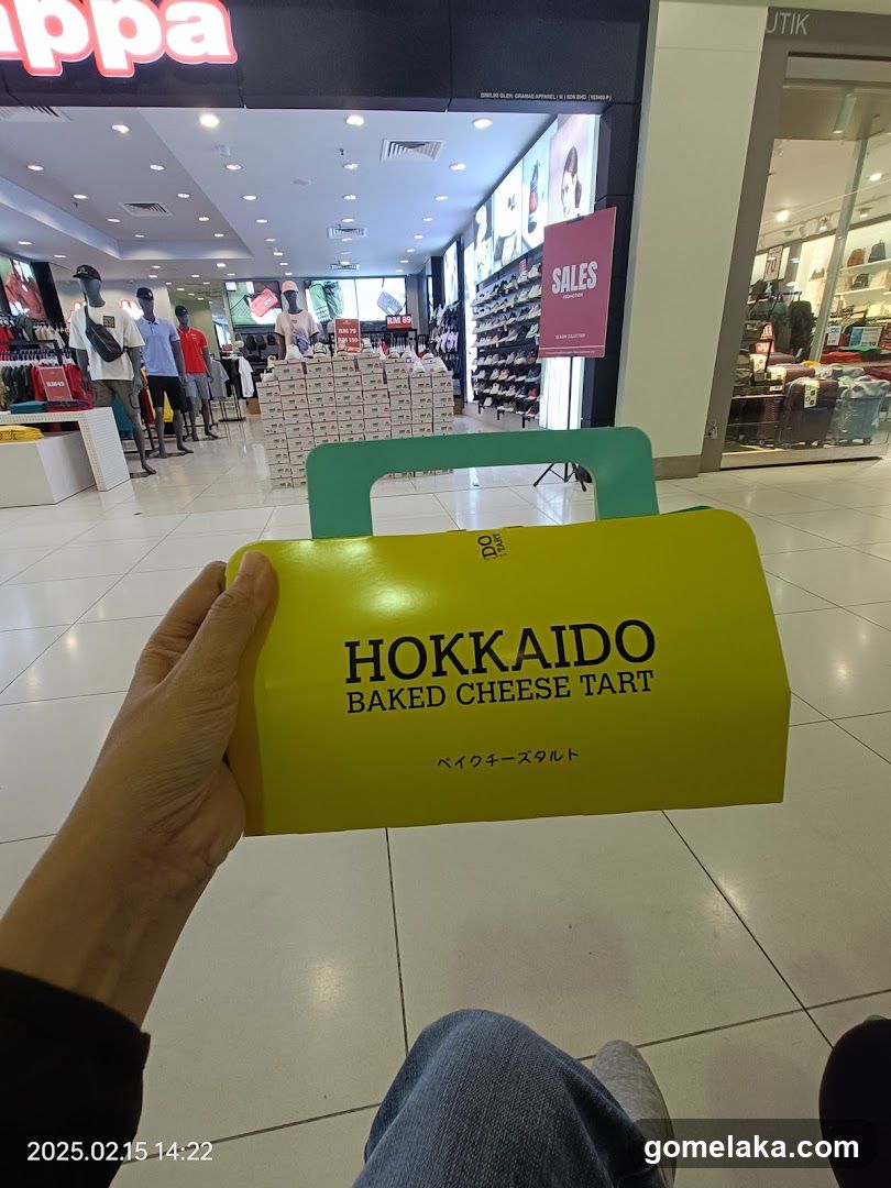 Hand holding Hokkaido Baked Cheese Tart box in shopping mall