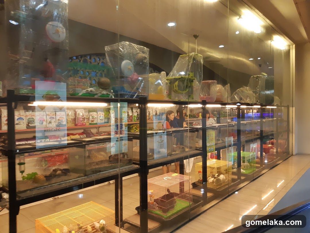 Pet Store Interior Display