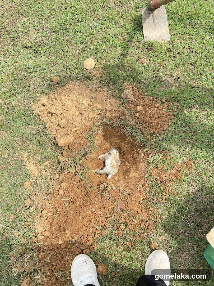 Outdoor Ground Dig Site