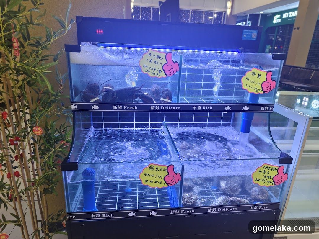 Seafood Display Counter