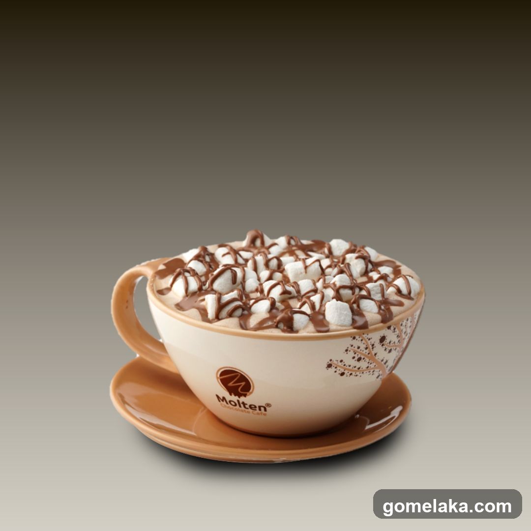 Hot Chocolate with Marshmallows and Chocolate Drizzle