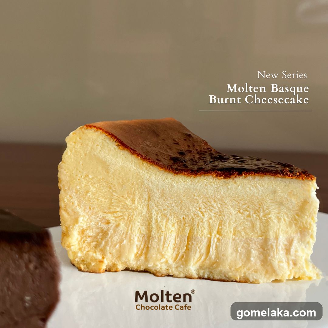 Molten Basque Burnt Cheesecake