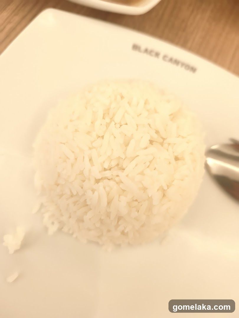 Rice on Plate