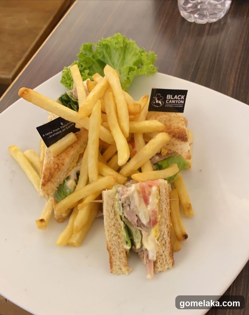 Sandwich and fries on plate