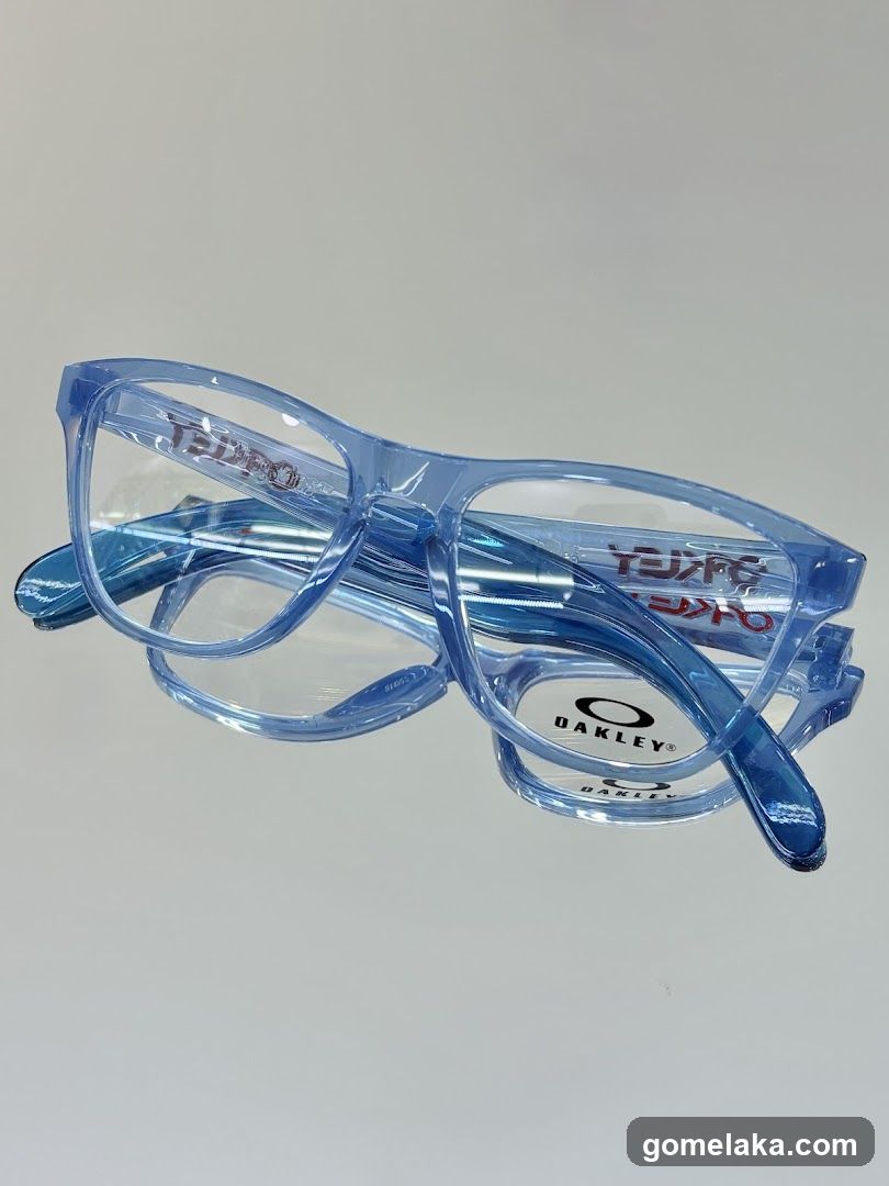 Blue Transparent Eyewear