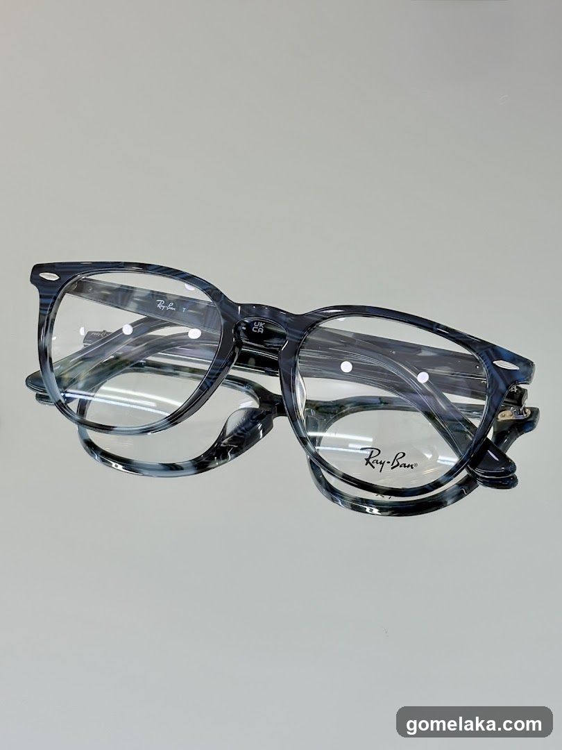 Ray-Ban Glasses