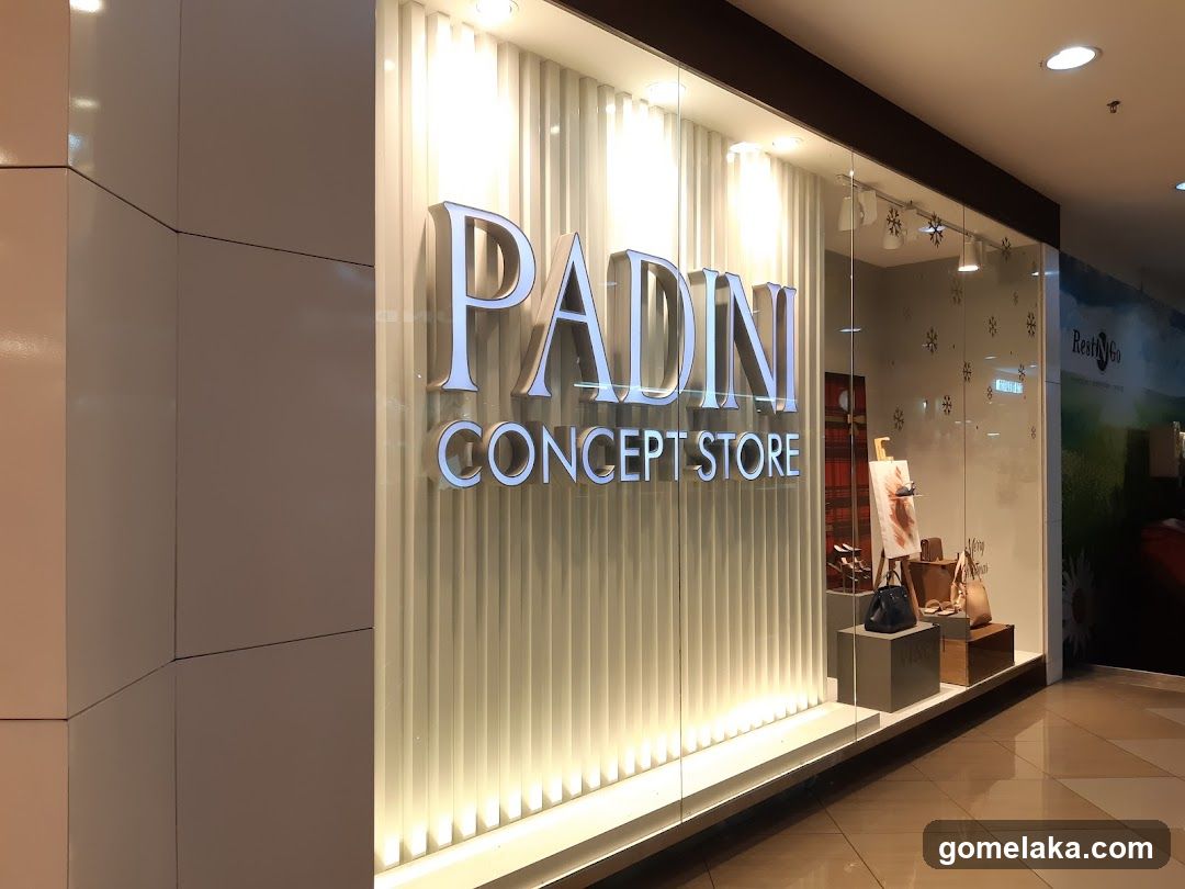 Padini