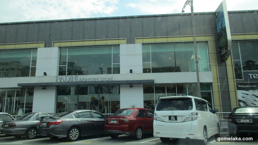 Padini
