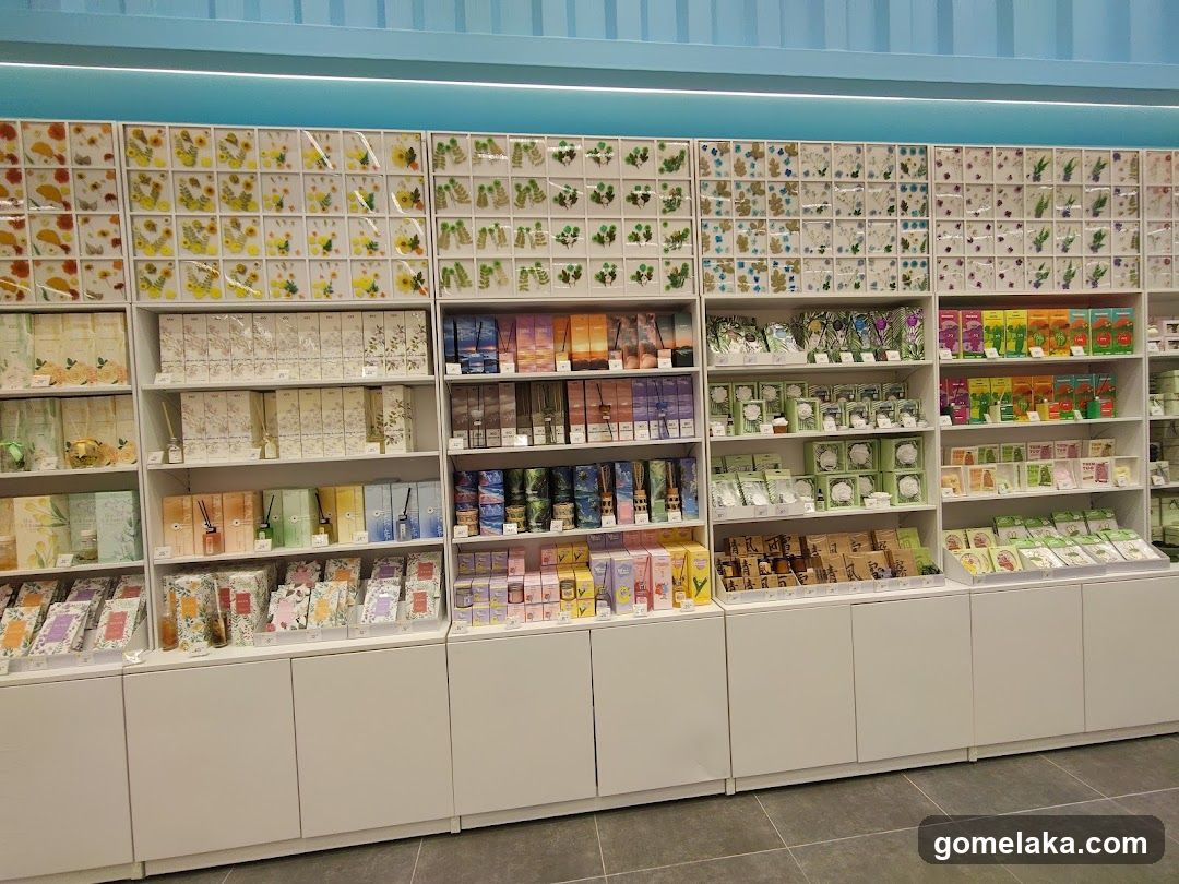 Store Interior Display
