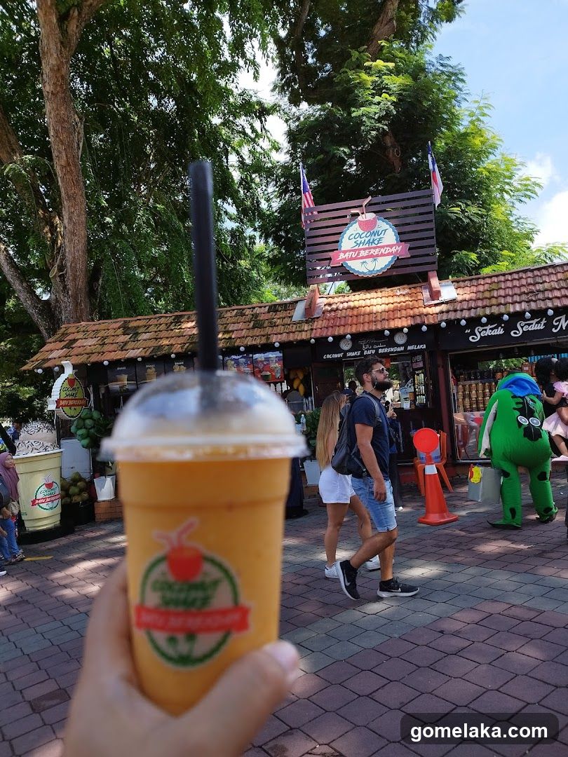 Coconut Shakes at Outdoor Stall