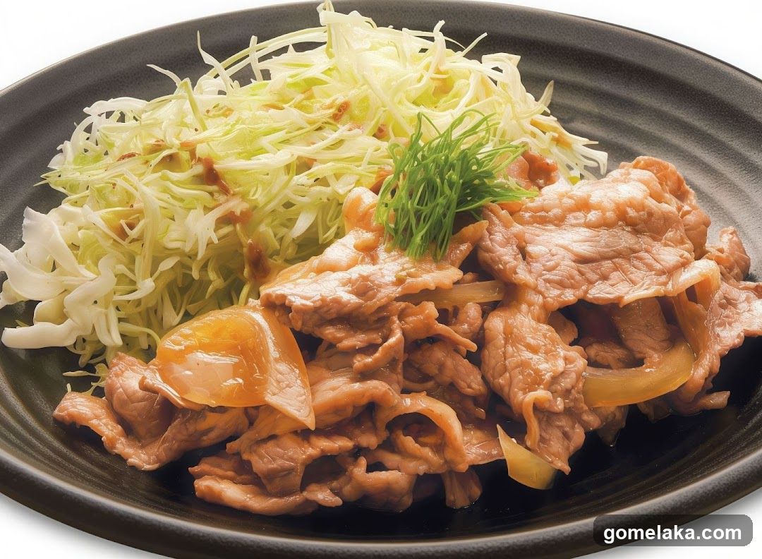 Food Dish