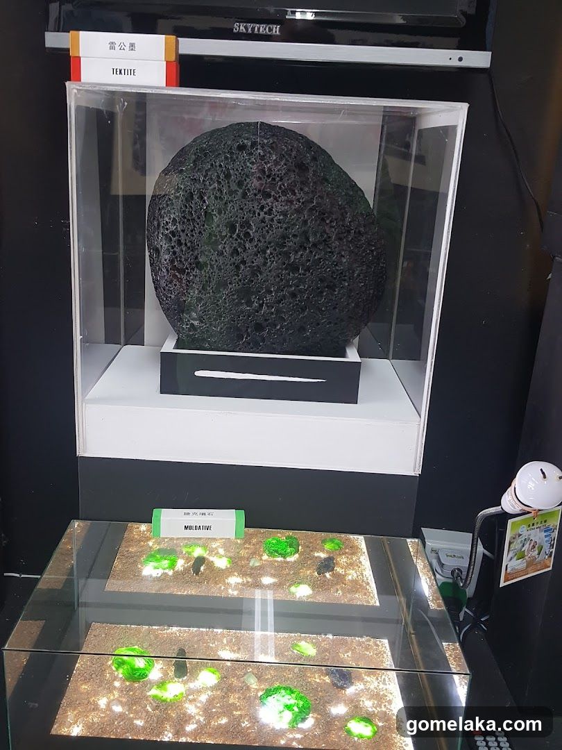 Display Case with Geological Specimens