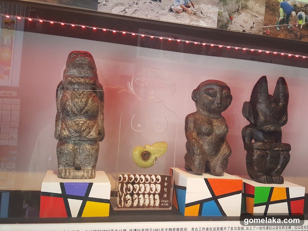 Museum Display of Prehistoric Artifacts