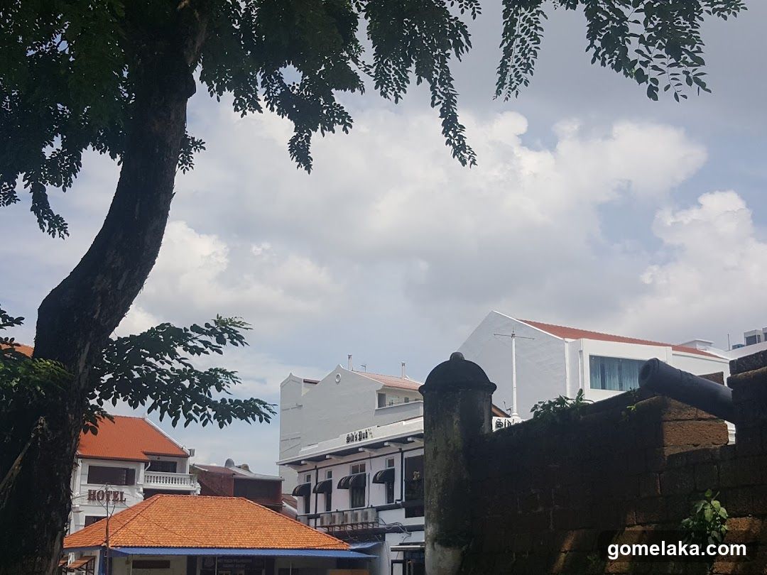 Urban Street Scene with Buildings and Tree