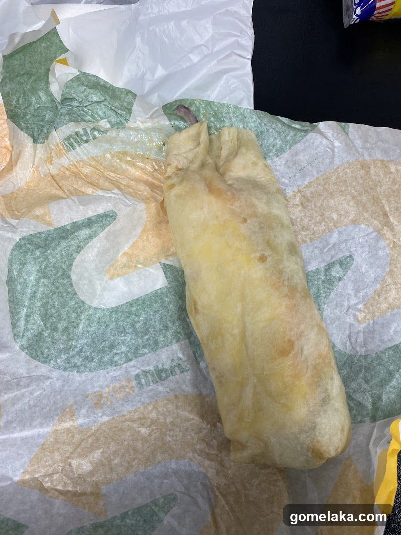 Subway Burrito