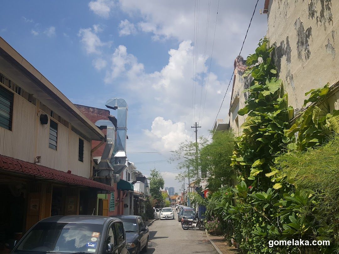 Street View with Buildings and Vegetation