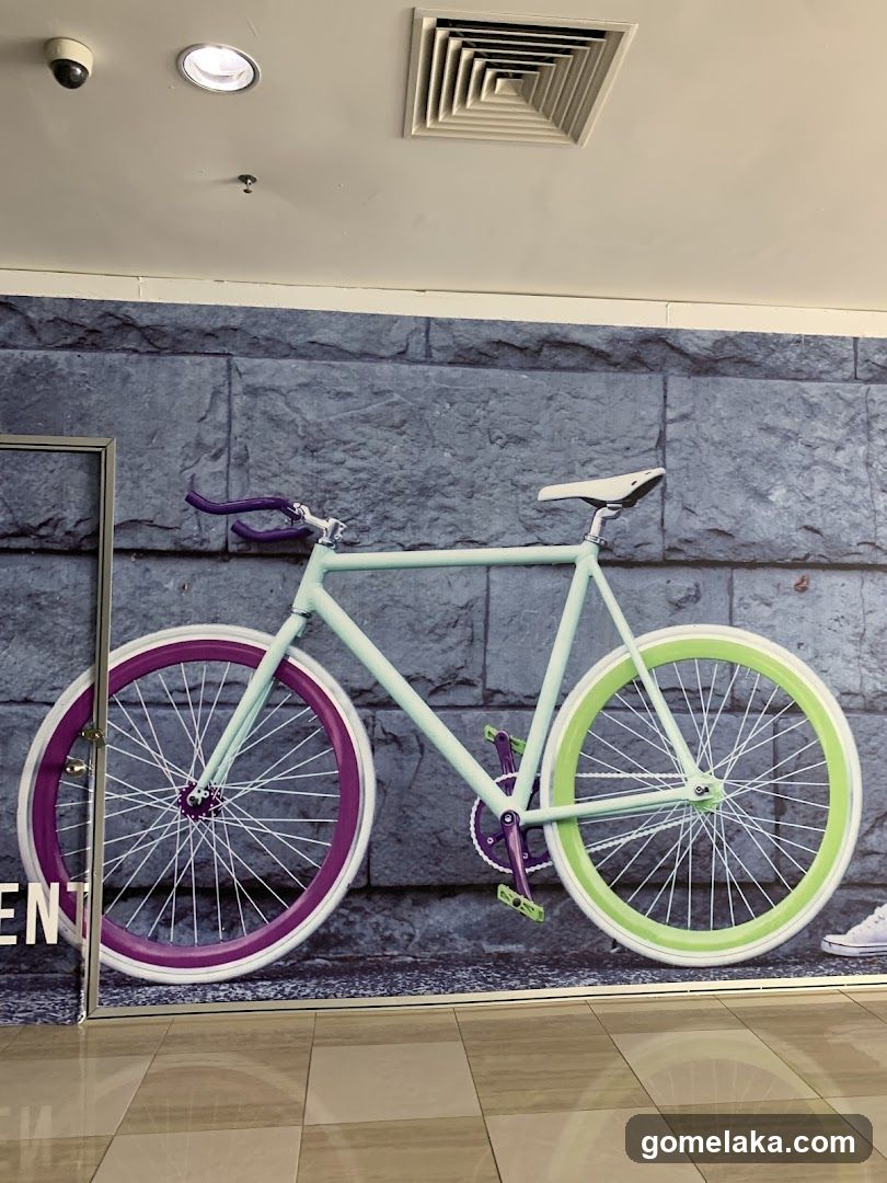 Bicycle Display in Indoor Space