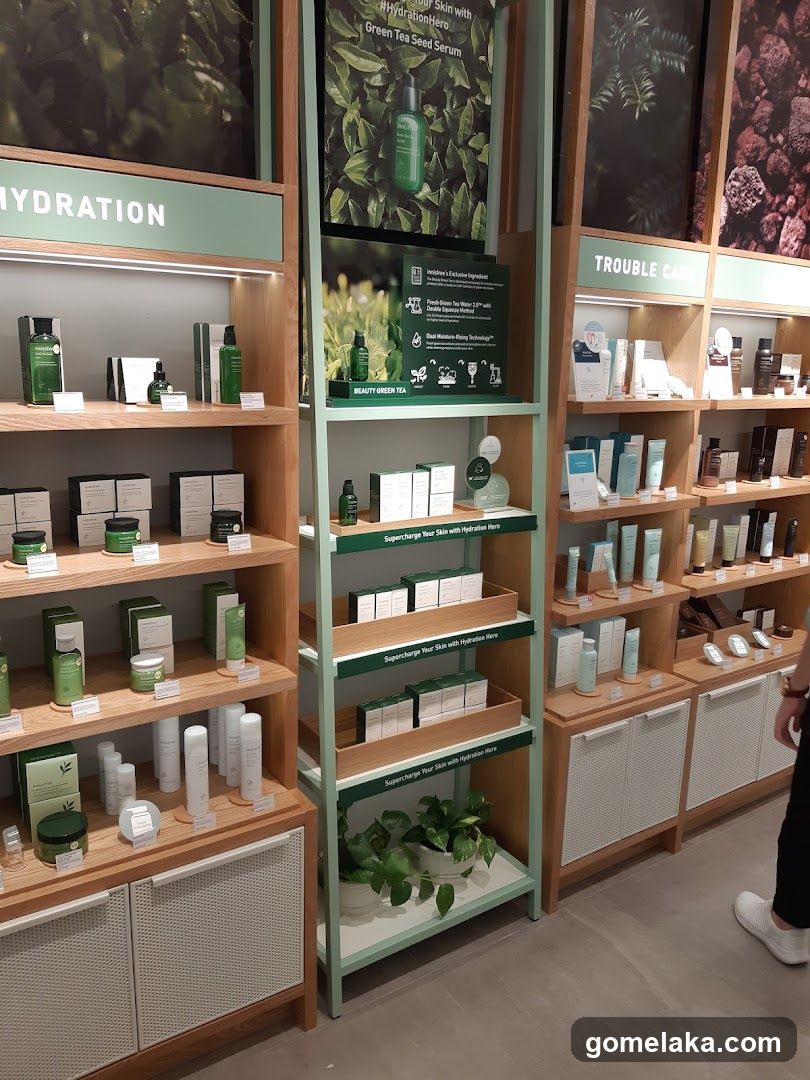 Store Interior Display
