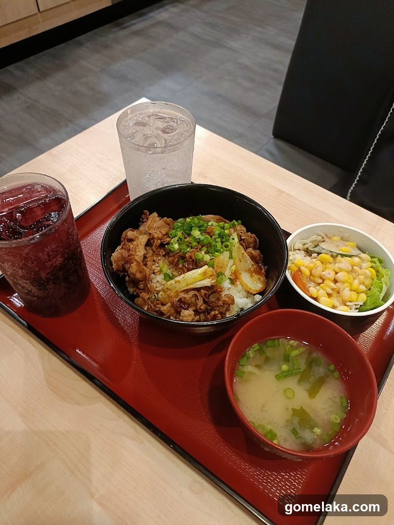 Restaurant Meal Set