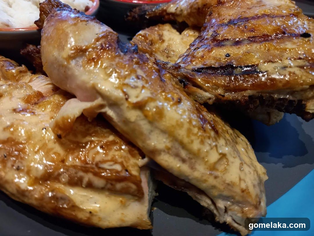 Grilled Chicken Dish