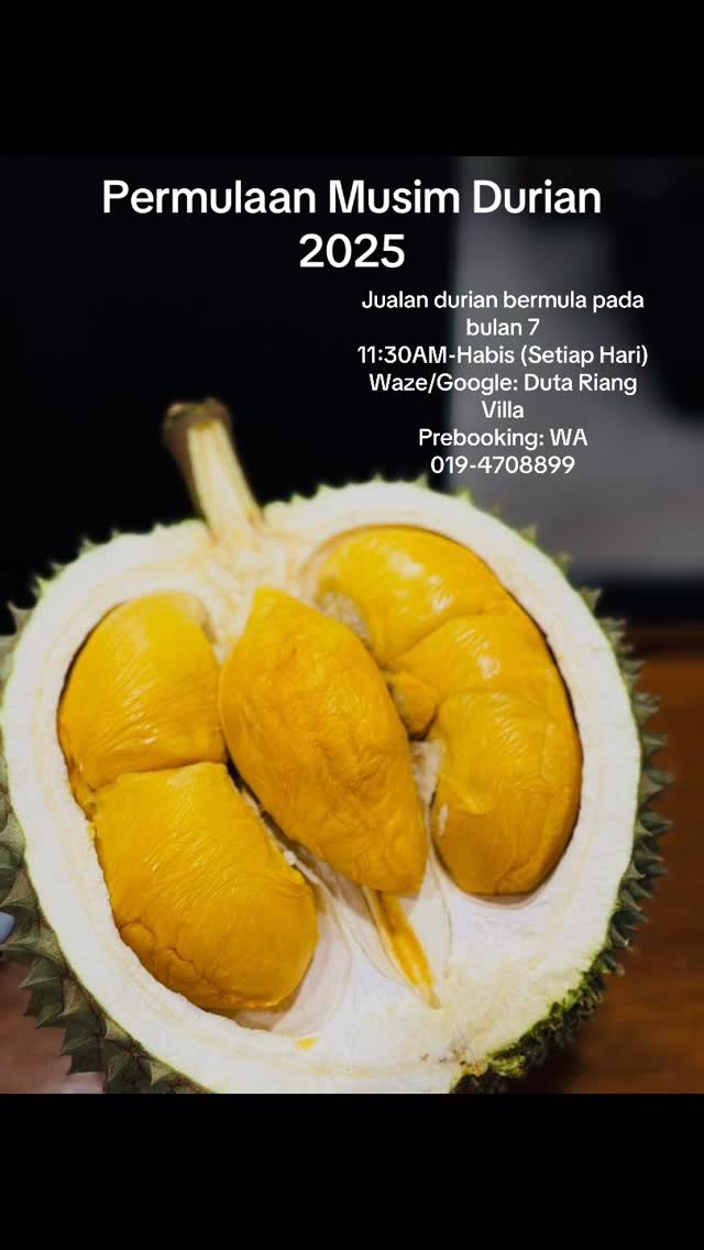 Melaka Proposes a One-Stop Durian Supermarket in Kota Laksamana as Season Oversupply Hits